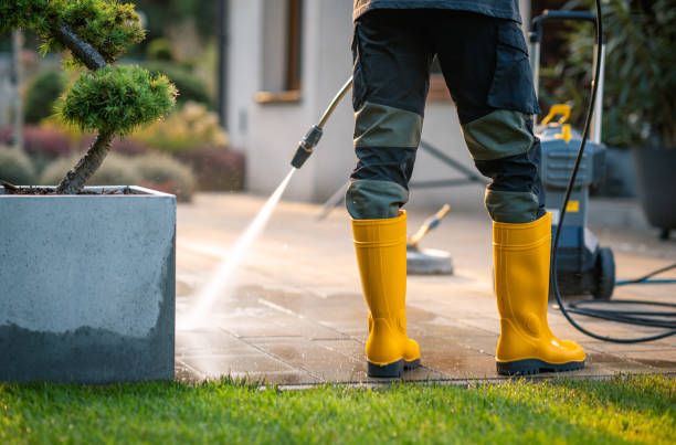 Best Power Washing Near Me  in Sunray, TX